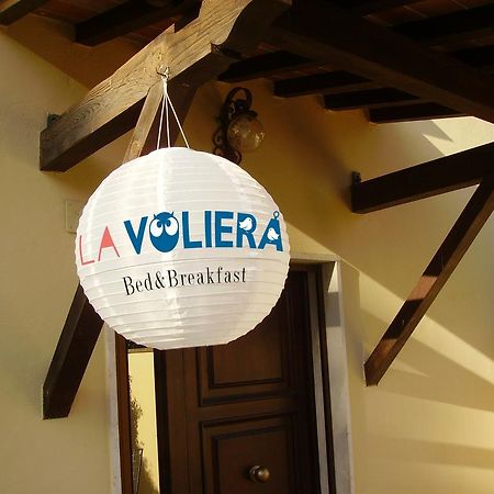 La Voliera Bed & Breakfast Pisa Buitenkant foto